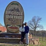 Brignole Vineyards