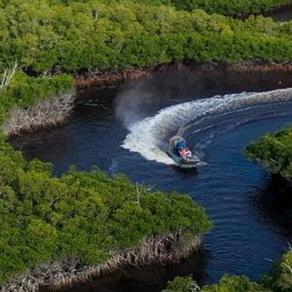 Everglades Airboat Tour