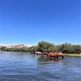 Salt River Tubing