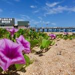 Flagler Beach