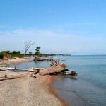 Illinois Beach State Park