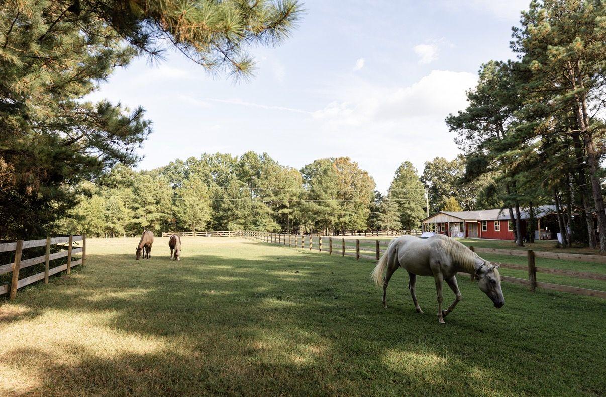 The Wedding Website of Daniel Avila and Liz Avila