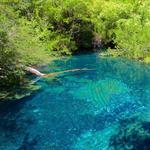 Indigenous Eyes Ecological Reserve