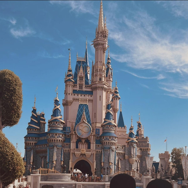 Honey Moon Fund - Disney World 🐭🏰✨