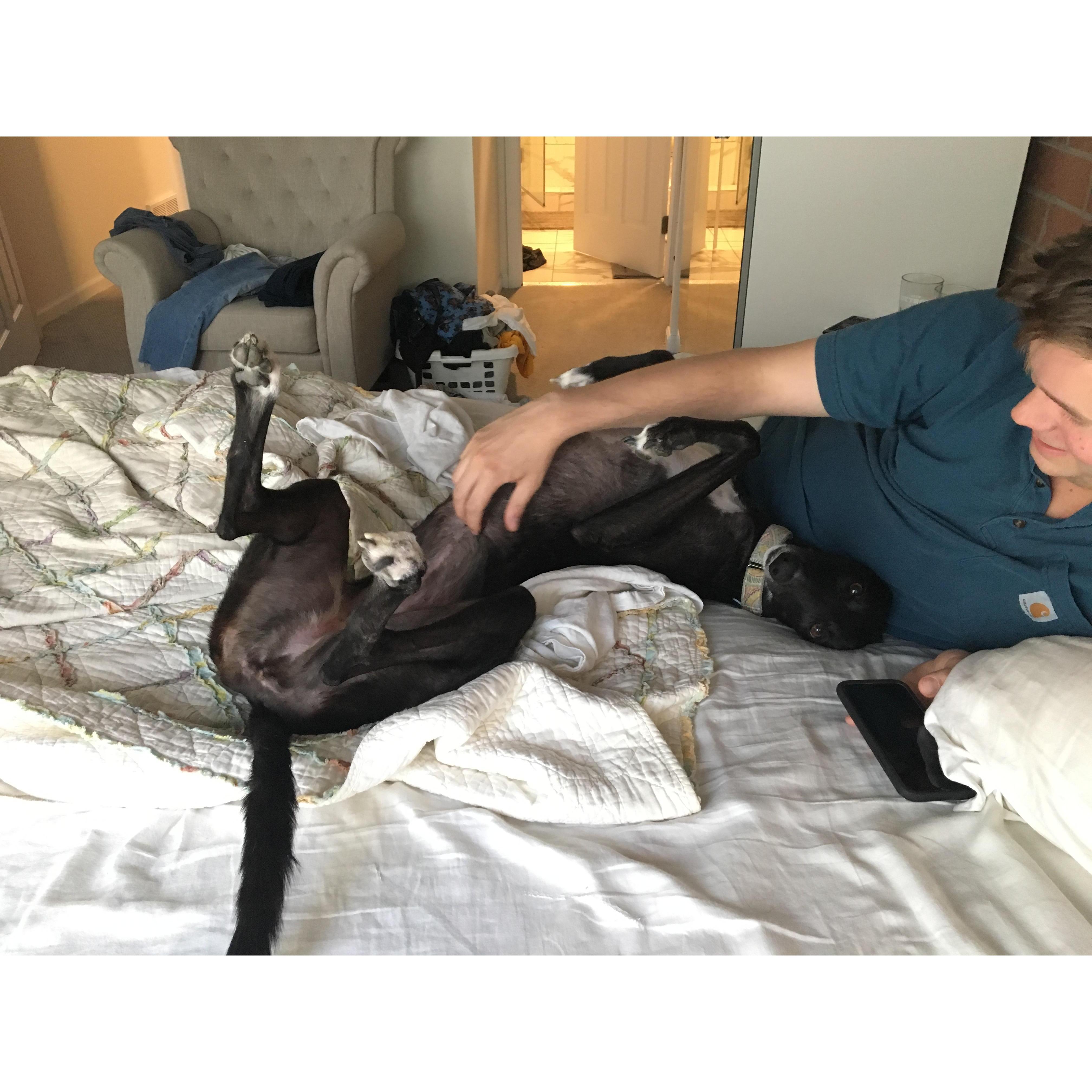 June 2019 - Daisy discovers Belly Scratches.