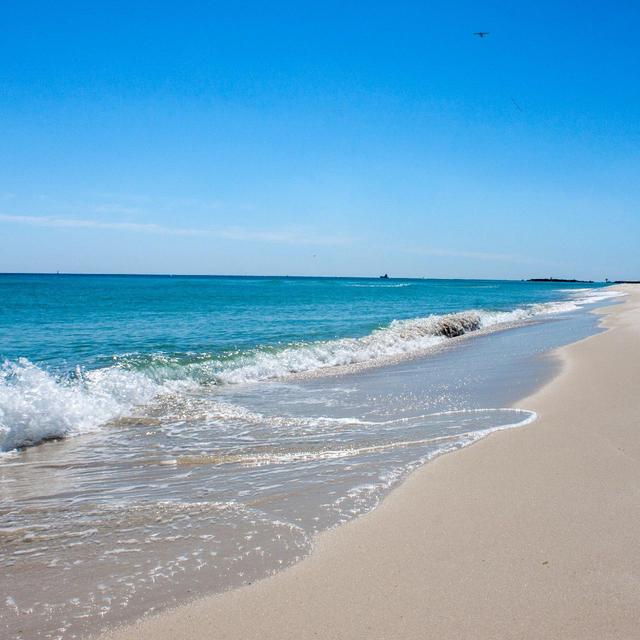 Our Orange Beach Honeymoon Fund