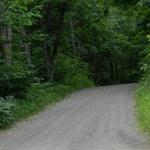 Go for a Run to Bean Road