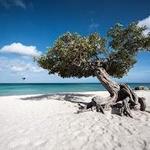 Eagle Beach