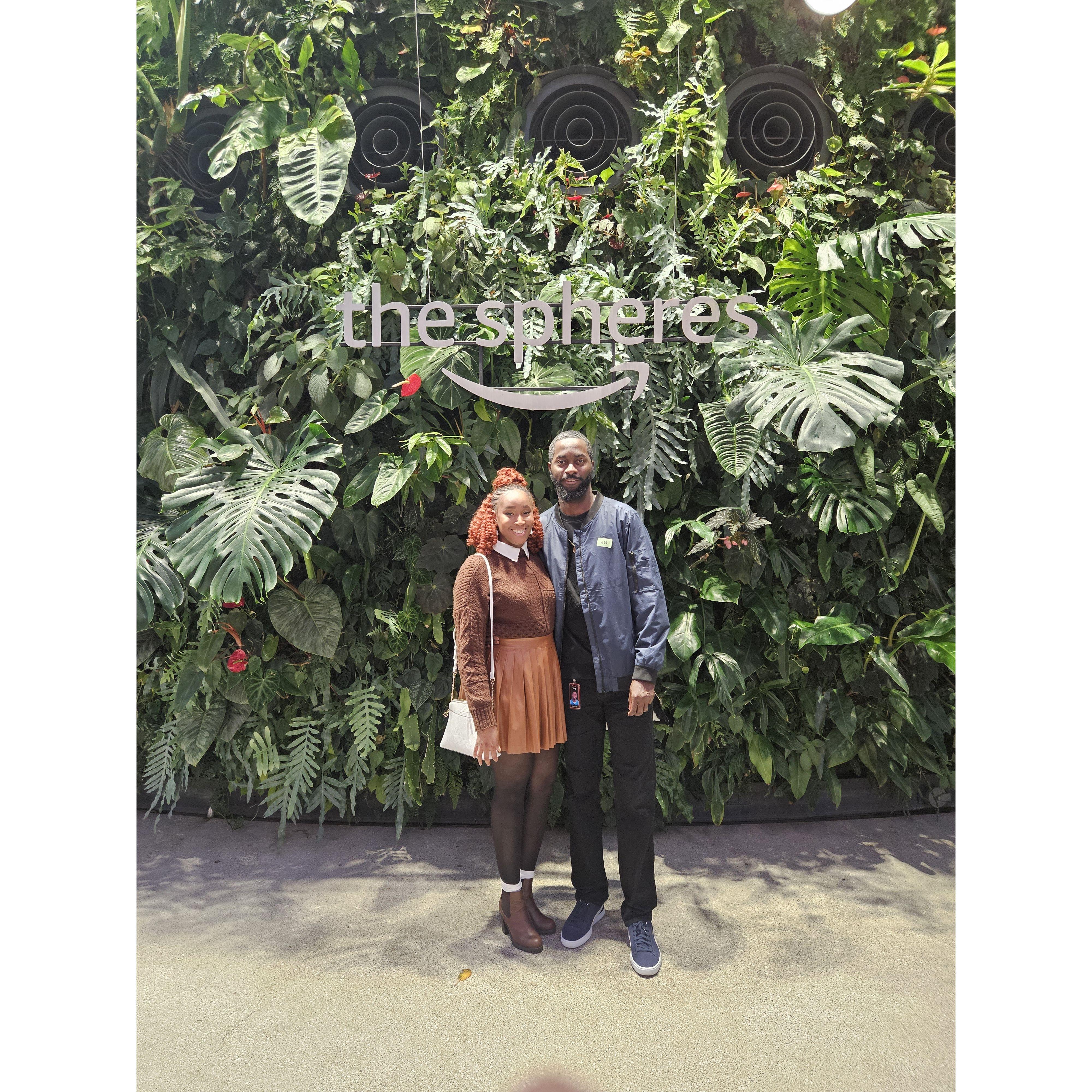 Was able to go and walk through the Amazon Spheres