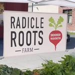 Snohomish Farmers Market