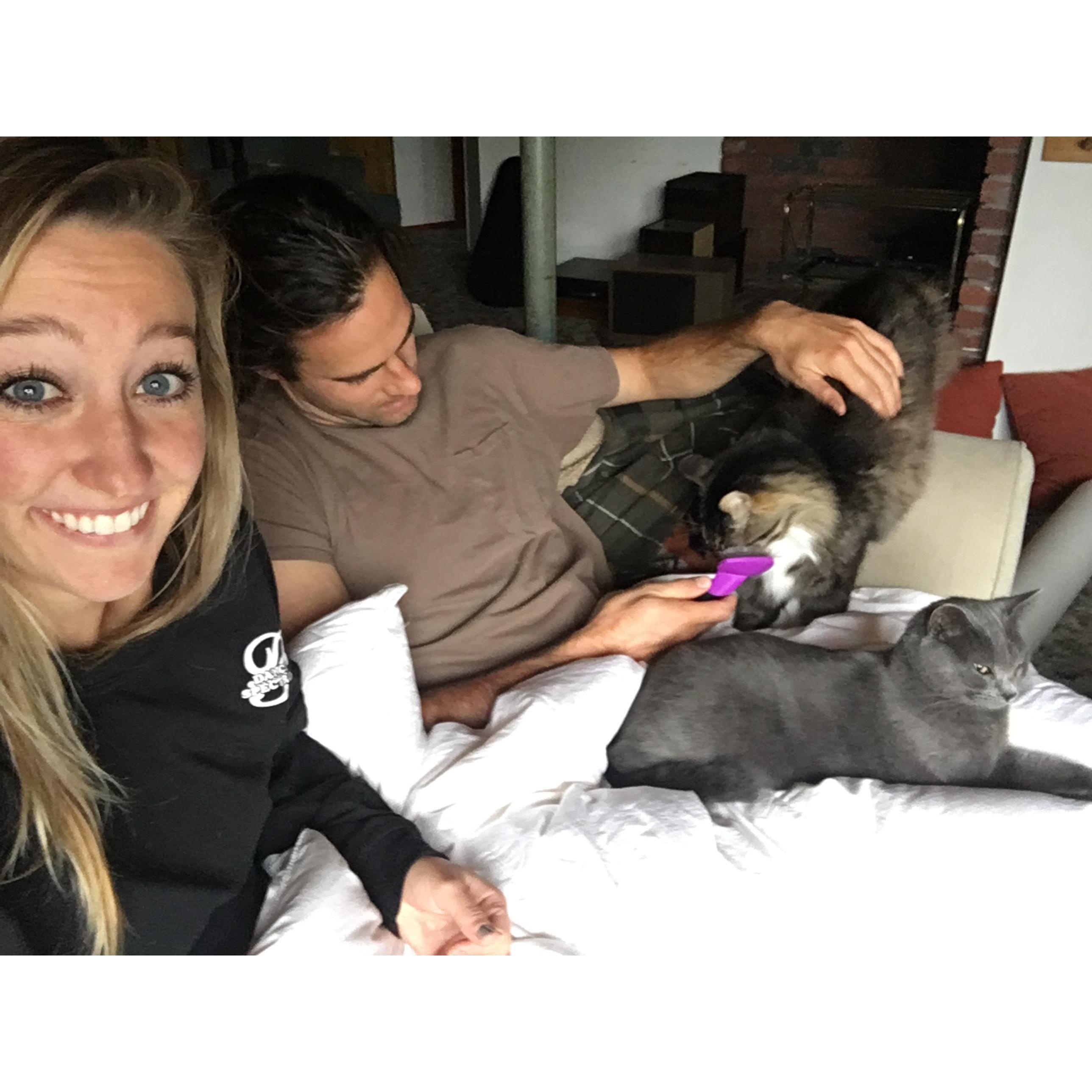 2018 - Couch time with our sweet cats, Bandit and Peeves.