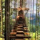 Tree to Tree Adventure Park
