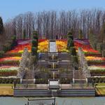Tulsa Botanic Garden