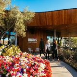 Ingo's Tasty Food