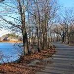 Horn Pond