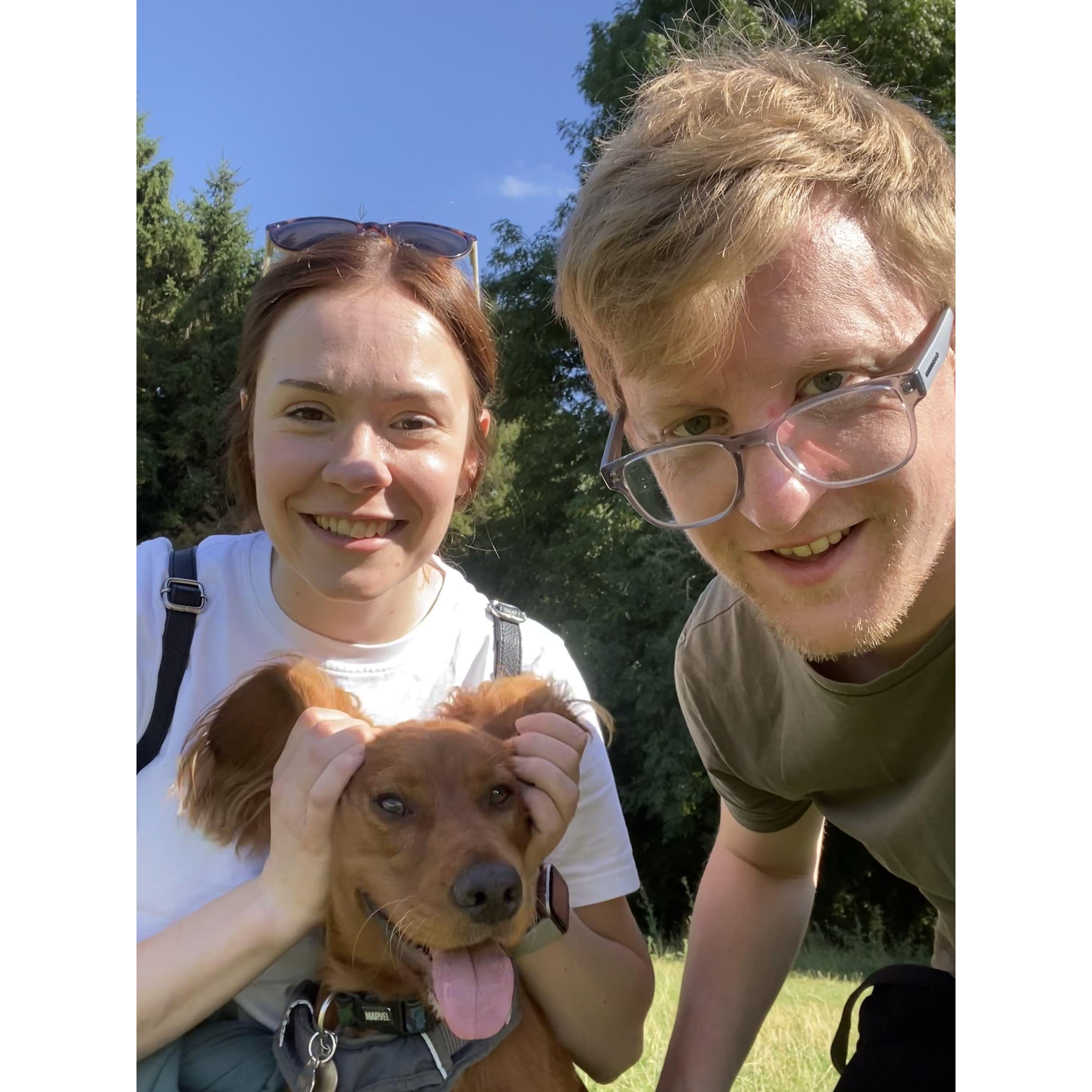 Another day another dog walk