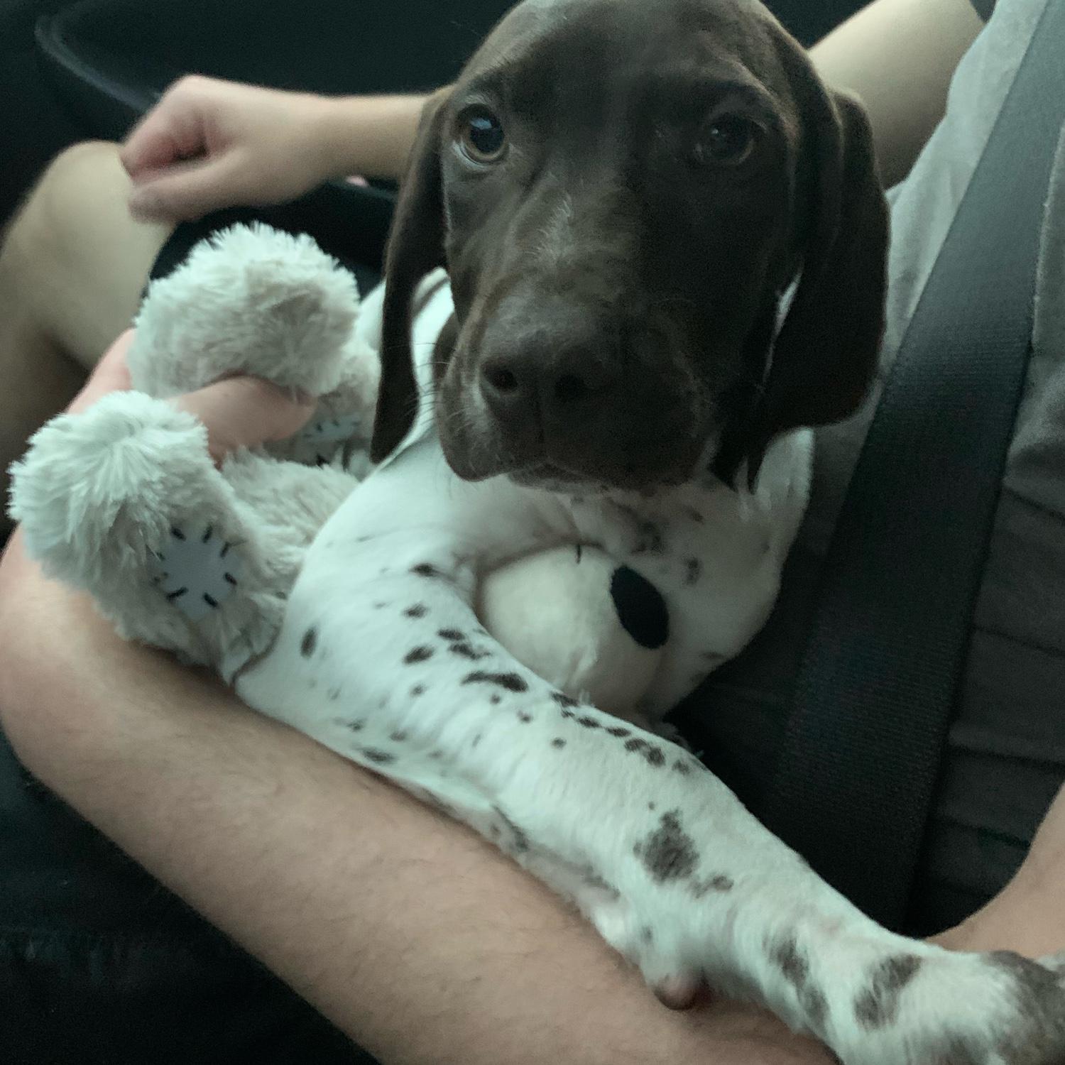 Adopted Kiya in 2022