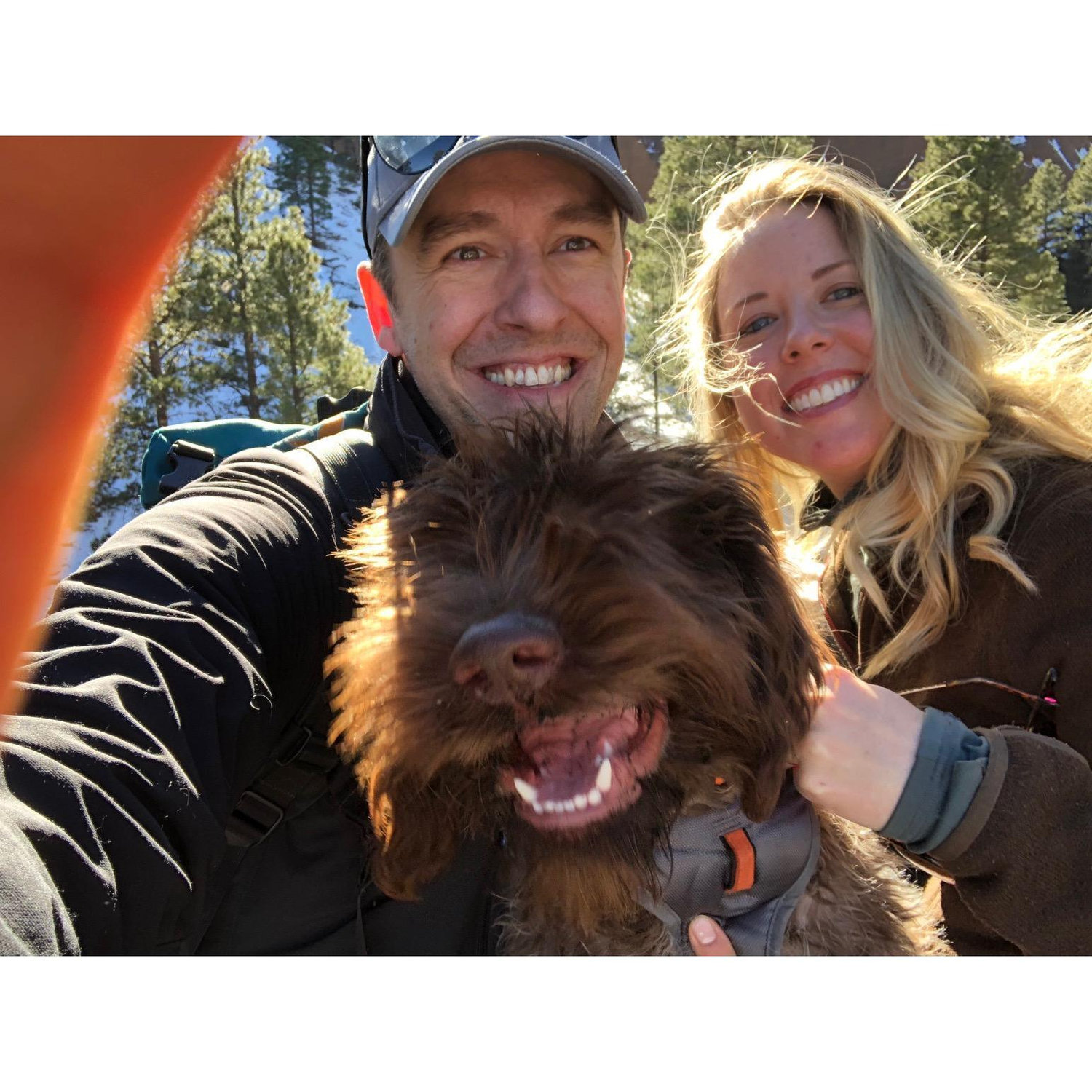We're engaged! Ring delivery by Kobuk!