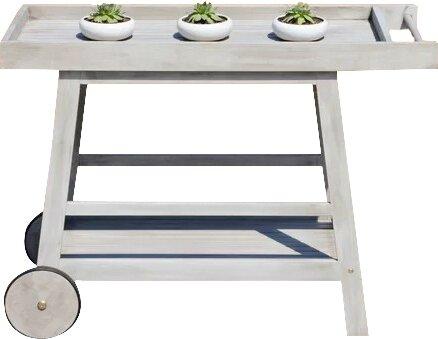 Hugo Indoor/Outdoor Bar Serving Cart