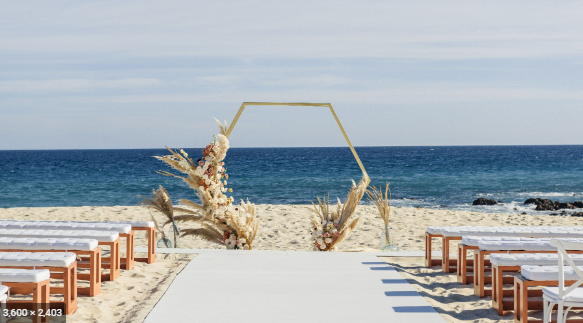 The Wedding Website of Meagan Eichinger and Jamarie Alba
