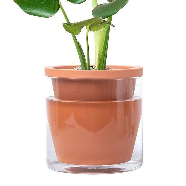 D'vine Dev 6 Inch Design Self Watering Pot for Indoor Plants, Terracotta Planter with Cylinder Glass Cup, Set of 1, 372-B-1