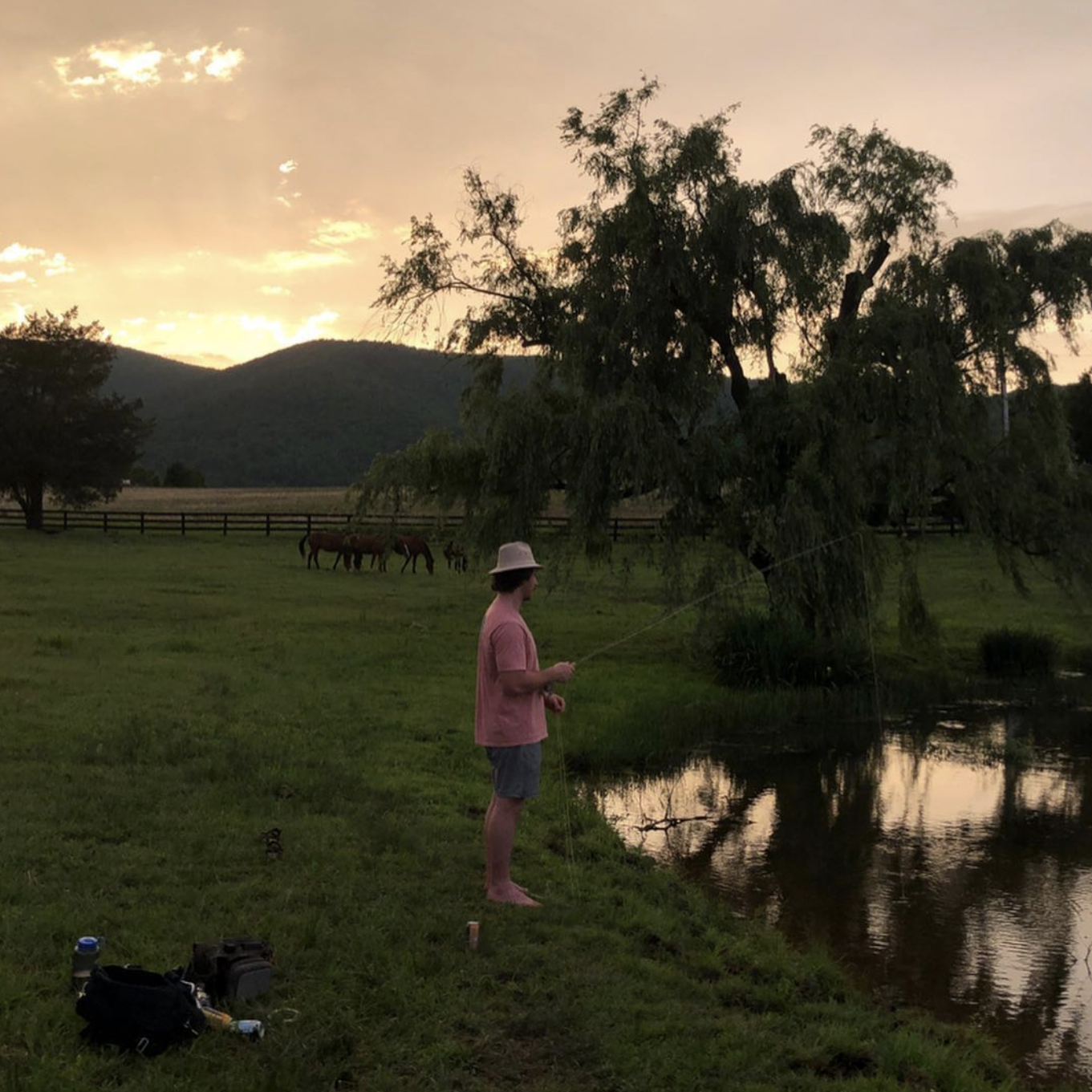 Our backyard