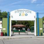 Seneca Park Zoo
