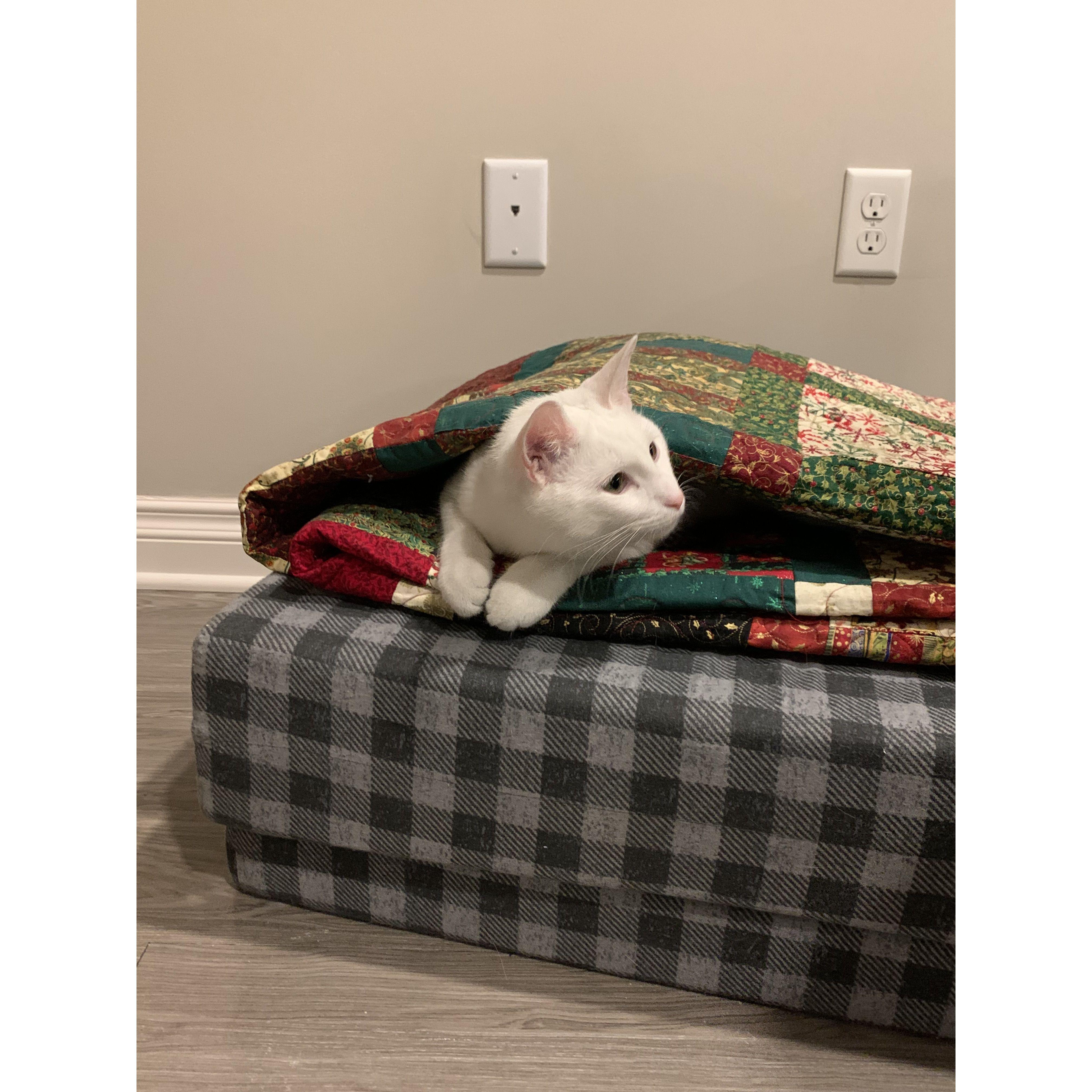 Our photogenic baby boy