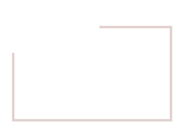 The Wedding Website of Shakira Johnson and Rodney Howard Jr