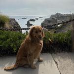 Margo Dodd Park