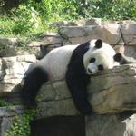 Smithsonian National Zoological Park