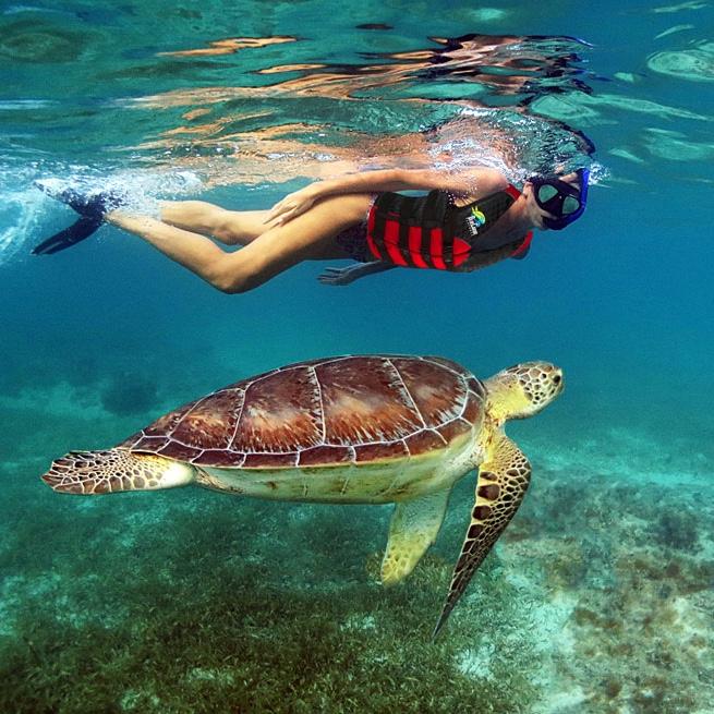 Excursions On Our Honeymoon