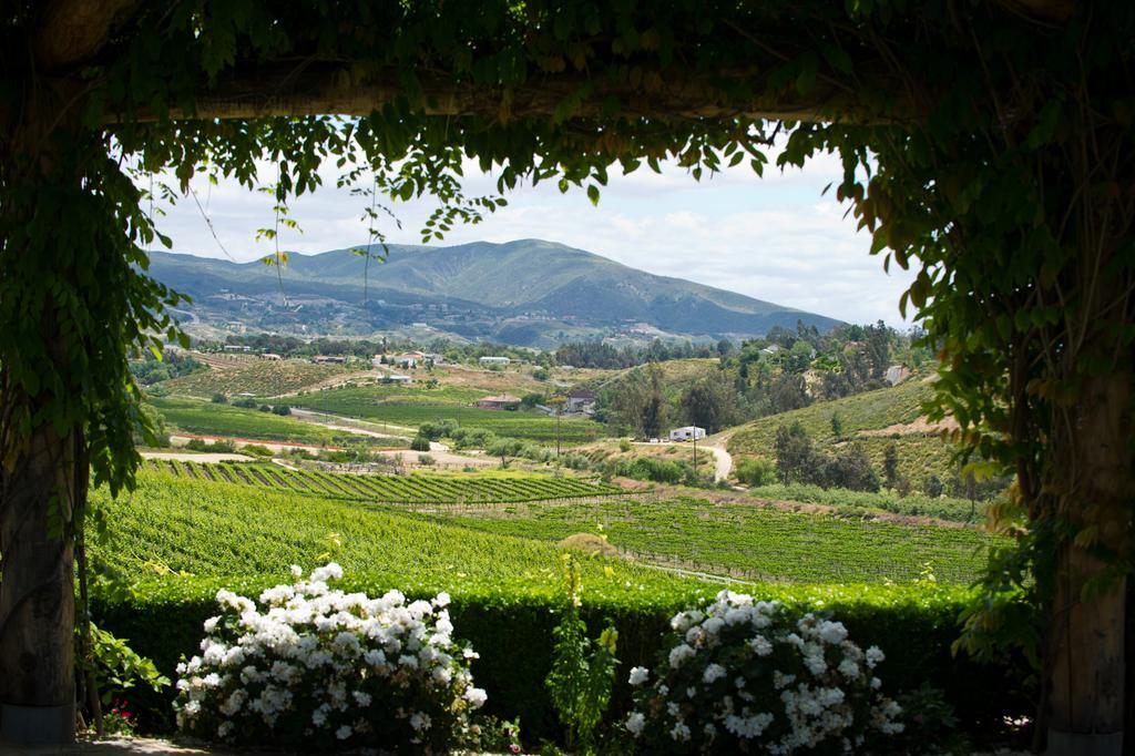 The Wedding Website of Jorge Murillo and Madi Ursino