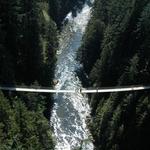 Capilano Suspension Bridge Park
