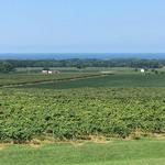 Noble Winery