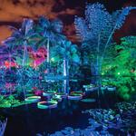 Naples Botanical Garden