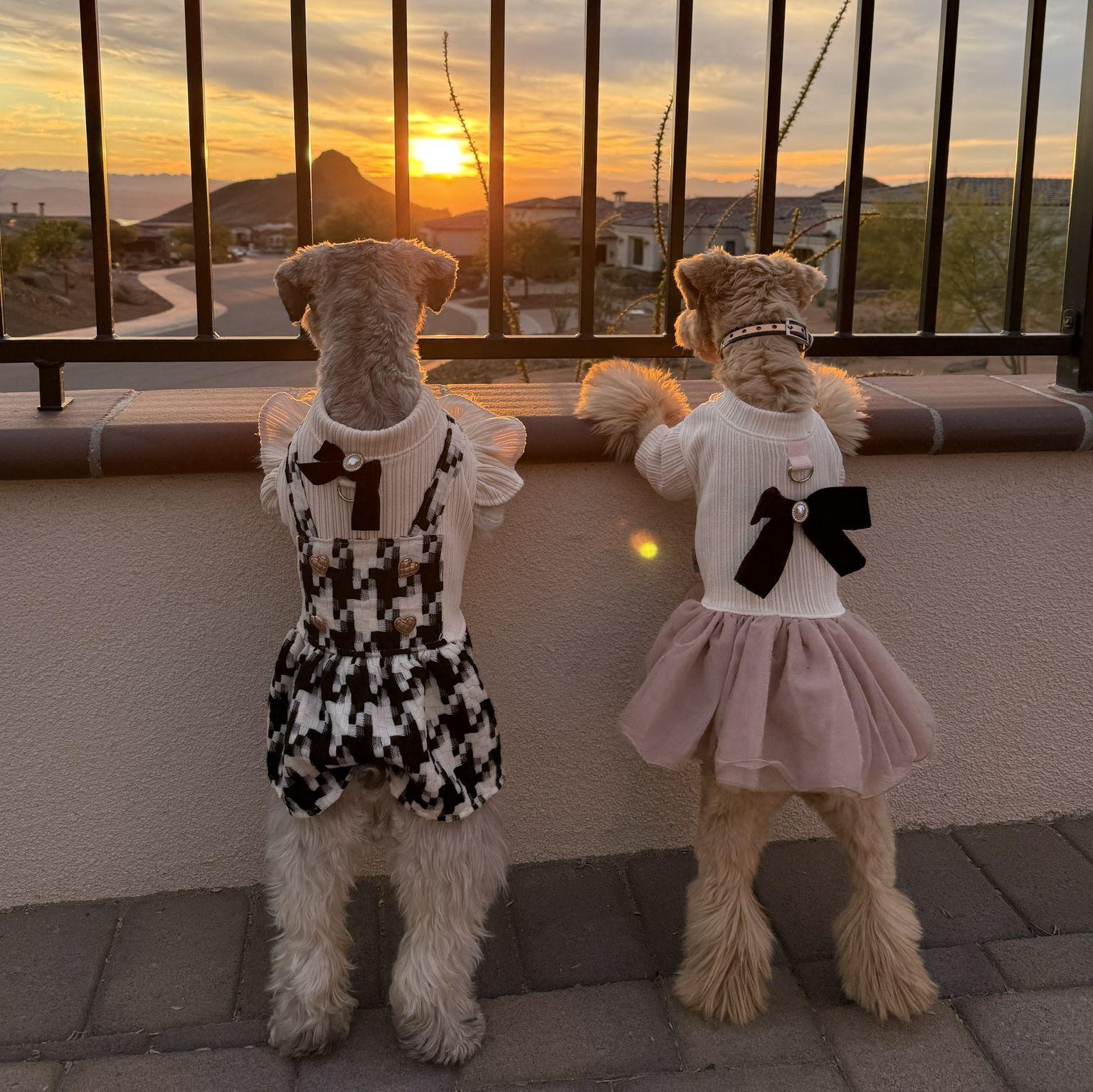 Our girls, Maddie and Sophie