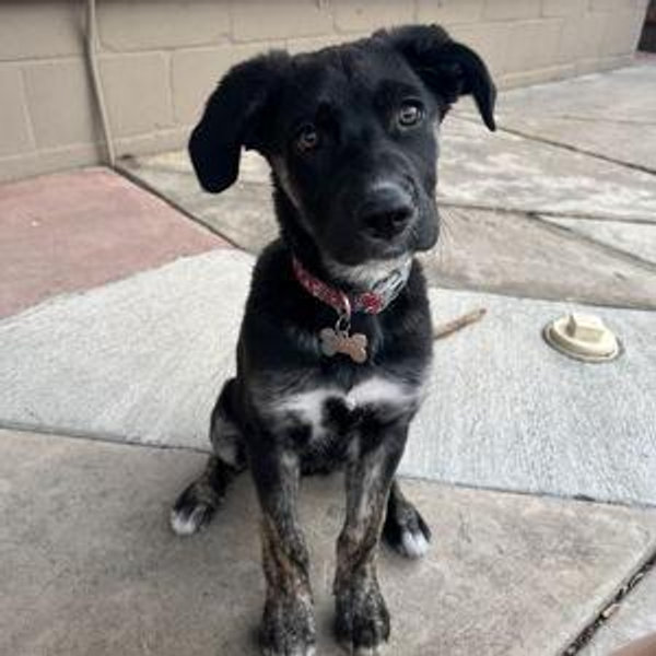 Murphy Toy Fund