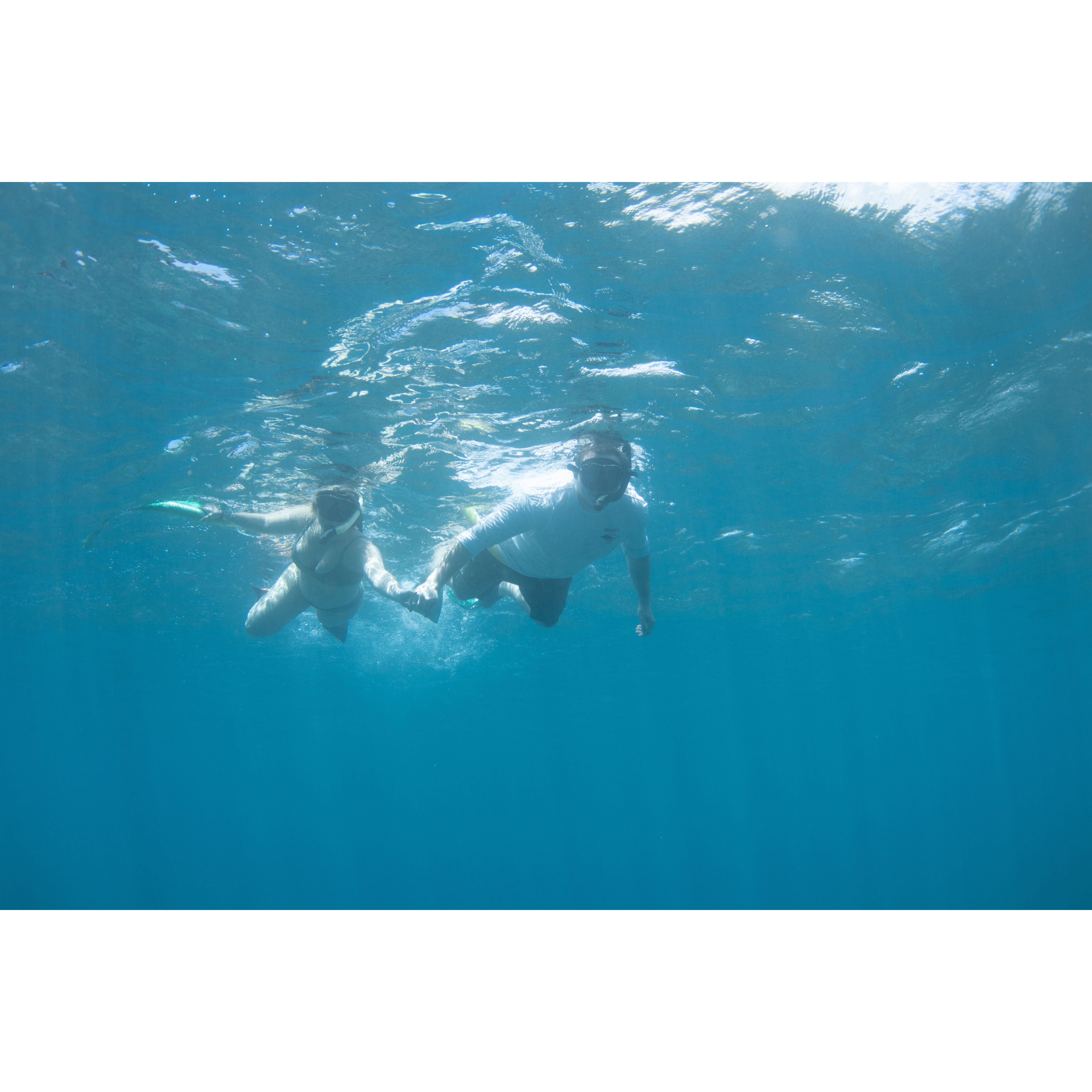 Took a dive with some fishes