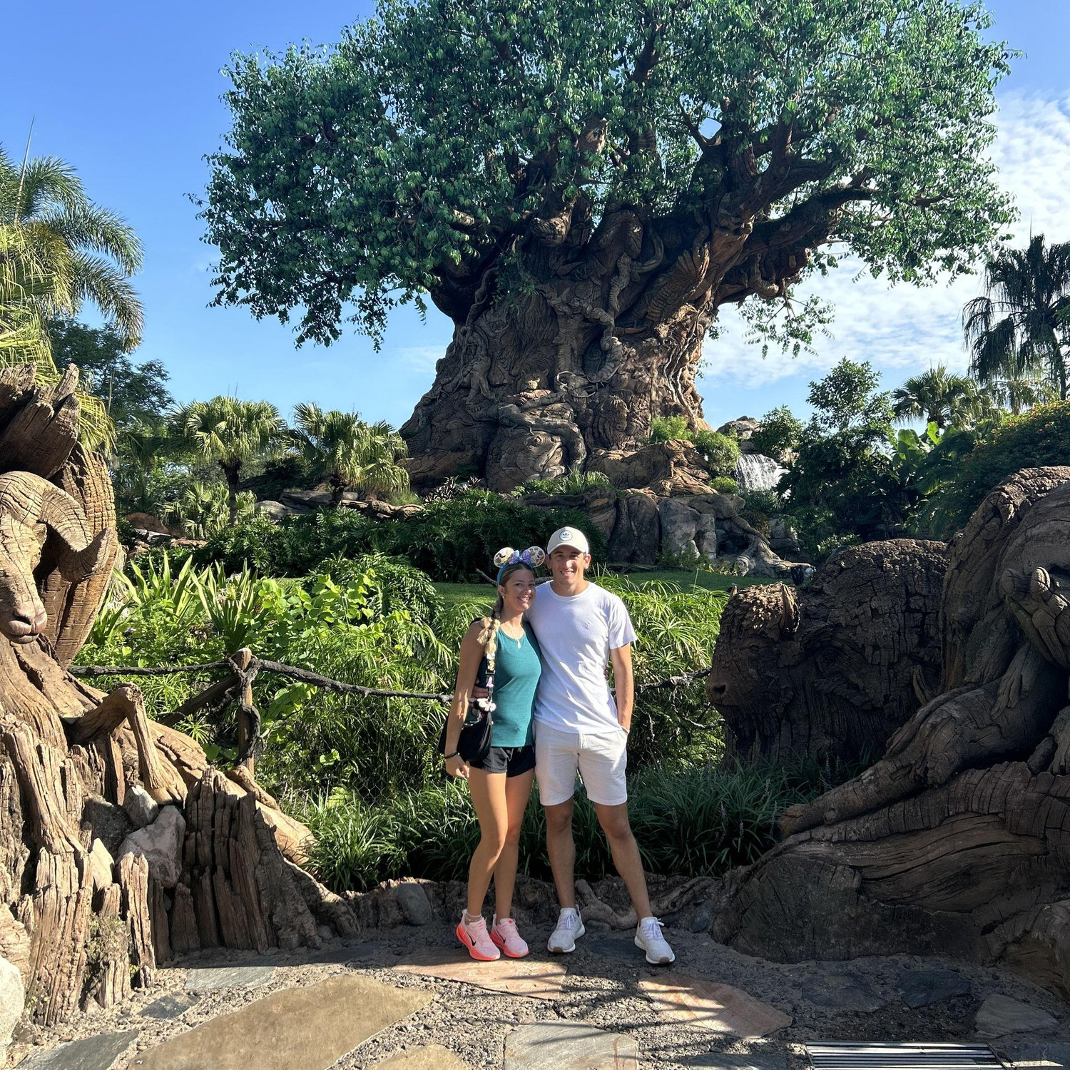 Animal Kingdom!