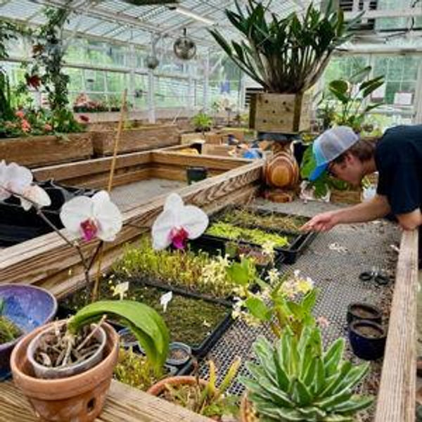 Plant Fund