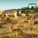 Gondwana Game Reserve