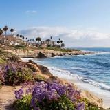 La Jolla Shores
