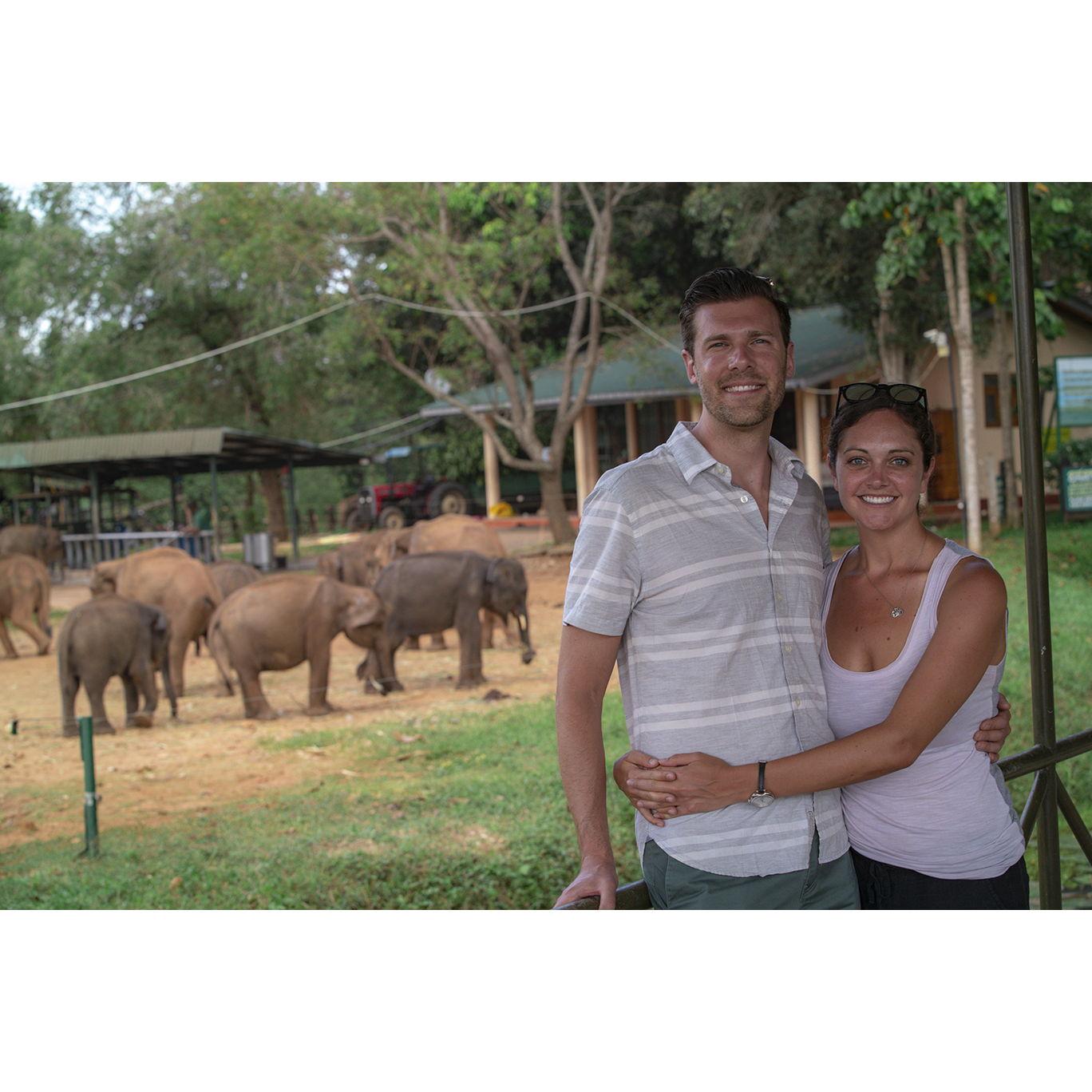 Elephant Sanctuary in Sri Lanka