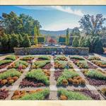 The North Carolina Arboretum