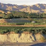 Marlborough Wine Region - 3+ days