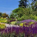 Bellevue Botanical Garden