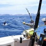 Sports Fishing