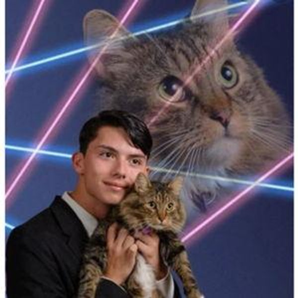 Feline glamour shots fund - Credit