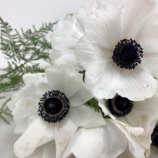 Flower Re-Purposing Service Gift Card